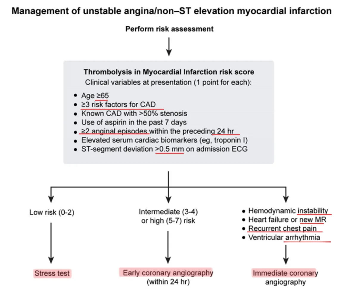 Management of unstable angina and NSTEMI by the TIMI risk score (1 point each: age 65 or more, 3 or more CAD risk factors, known stenosis over 50%, aspirin in the past 7 days, 2 or more anginal episodes in 24 hours, raised biomarkers, ST deviation over 0.5 mm). Low risk (0 to 2): stress test. Intermediate or high (3 to 7): early angiography within 24 hours. Instability, heart failure or new mitral regurgitation, recurrent pain or ventricular arrhythmia: immediate angiography.