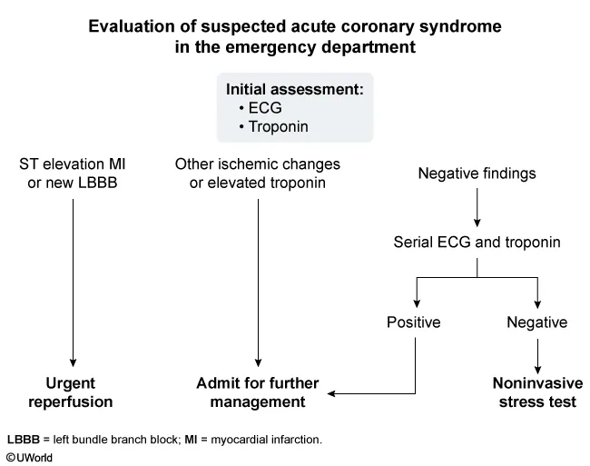 Evaluation of suspected acute coronary syndrome in the emergency department: ECG and troponin first. ST-elevation MI or new LBBB goes to urgent reperfusion; other ischemic changes or a raised troponin are admitted for further management; negative findings get serial ECG and troponin, and if those stay negative, a noninvasive stress test.