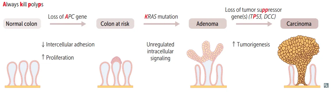 Molecular pathogenesis of colorectal cancer