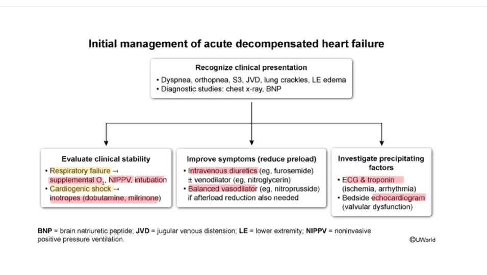 Initial management of acute decompensated heart failure, three tracks in parallel. Evaluate clinical stability (respiratory failure: supplemental oxygen, NIPPV, intubation; cardiogenic shock: inotropes such as dobutamine or milrinone). Improve symptoms by reducing preload (IV diuretics such as furosemide, with or without a vasodilator such as nitroglycerin; a balanced vasodilator such as nitroprusside if afterload reduction is also needed). Investigate the precipitating factors (ECG and troponin for ischemia or arrhythmia, bedside echo for valve dysfunction). Stabilize oxygenation and perfusion, remove congestion, and identify the precipitating problem in parallel.