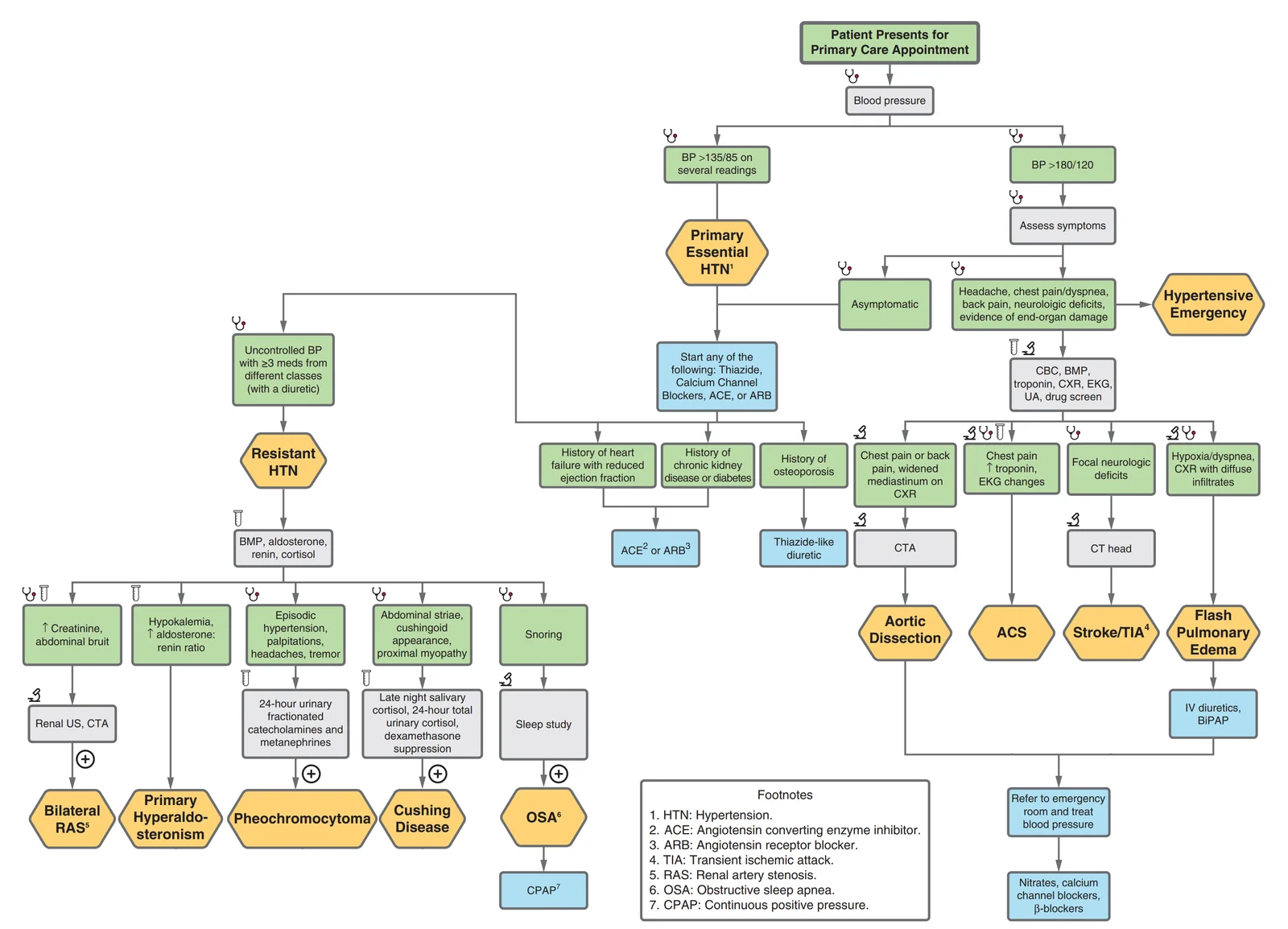 Hypertension review algorithm: a patient with raised blood pressure is sorted into primary (essential) hypertension, resistant hypertension, a secondary cause picked out by its clue (hypokalemia and alkalosis for primary aldosteronism, a bruit or creatinine rise for renal artery stenosis, spells for pheochromocytoma, cushingoid features, snoring for sleep apnea, arm and leg pressure difference for coarctation), or a hypertensive emergency with its organ-specific management. Open it full size to read each branch.